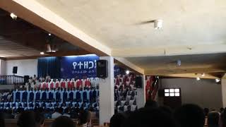 Addis Ababa gofa mass choir 2019  Apostolic church of Ethiopia [upl. by Gershon964]