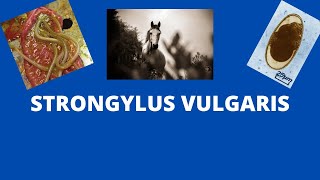 strongylus vulgaris [upl. by Iniffit481]