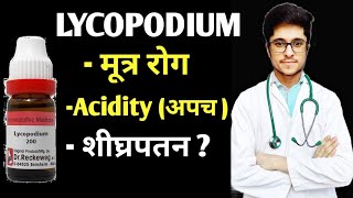 Lycopodium Clavatum 200 Homoeopathic medicine uses in Hindi [upl. by Elbertina]