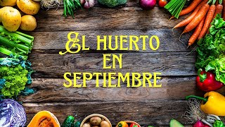 SIEMBRA de SEPTIEMBRE en Hemisferio NORTE [upl. by Bor]