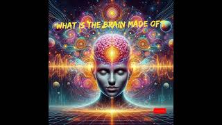 What is the brain What is the brain made of How human brain works [upl. by Hampton]