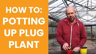 How to Potting up plug plants [upl. by Malia]