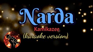 NARDA  KAMIKAZEE karaoke version [upl. by Siekram720]