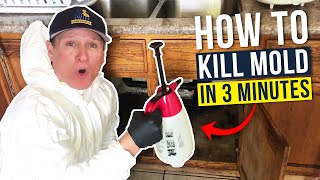 Black Mold  How we get rid of mold in under 3 min [upl. by Buatti515]