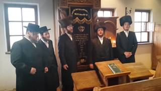 מקהלת מלכות א שבת אין מעזיבוז ווקאלי  Malchus Choir A Shabbos In Mezibuz Acapella [upl. by Dallis382]