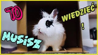 ‼️ Musisz to wiedzieć zanim zdecydujesz się na królika ‼️🐰 [upl. by Ytsirhc152]