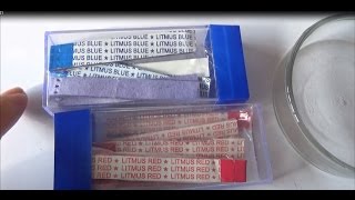 Action of Red and Blue Litmus Paper on Acid and Alkali  Experiment [upl. by Latin]