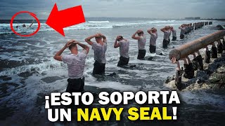 SEAL Team Six El INFERNAL entrenamiento de la Fuerza de Élite de EEUU [upl. by Dranyl978]