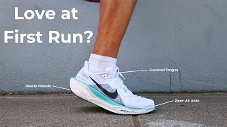 Nike Pegasus 41 Review  NIKES BACKK [upl. by Henning]