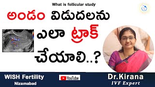 అండం విడుదలను ఎలా ట్రాక్ చేయాలి  What is follicular study  Dr Kirana [upl. by Ennovyhc]