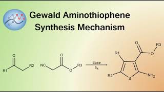 Gewald Aminothiophene Synthesis Mechanism  Organic Chemistry [upl. by Venita]