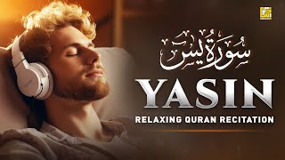 Peaceful Quran Recitation of Surah Yasin Yaseen سورة يس  SOFT VOICE  Zikrullah TV [upl. by Cardew793]