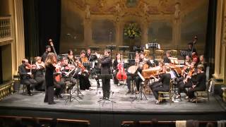 CPE Bach  Concerto for flute strings and continuo in D minor Wq 22 [upl. by Enorel]