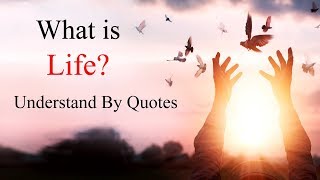 What is Life Understand By These 12 True Meaningful Life Quotes [upl. by Hareehahs]