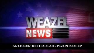 101 GTA IV Weazel News Reports [upl. by Merridie]