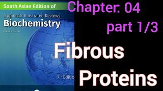 lippincott chapter 4  fibrous proteins   part 1 of 3  collagen [upl. by Ellsworth]