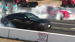 Shelby gt500 vs Hellcat Charger  drag race [upl. by Allemap]