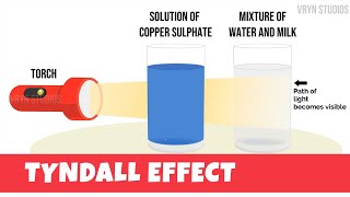 Tyndall Effect Animation  Explanation and Experiment CBSE 9th [upl. by Akcimahs]