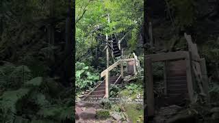 Wairere Falls travel hikingnz newzealand waterfall [upl. by Stanton433]