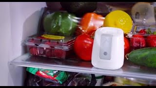 Greentech pureAir FRIDGE Food Preserver amp Odor Eliminator [upl. by Urbain]