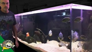 1000 Gallon Aquarium [upl. by Emmerich]