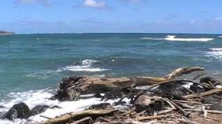 Wailua Bay Kauai  video 1 [upl. by Hillard]