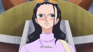 Robin Thinks Dragon Is Cute One Piece 752 Sub [upl. by Skelton]