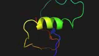 Protein folding simulation from denatured to native state [upl. by Nnaeilsel]