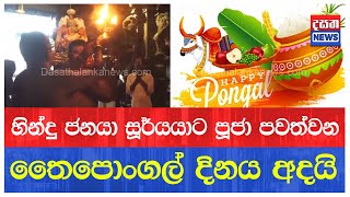 ජාතික තෛපොංගල් සැමරැම යාපනයේ [upl. by Brose247]