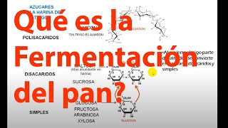 Qué es la fermentación panadera paso a paso [upl. by Attinahs]