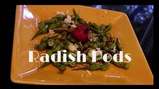 Radish Pod Recipe [upl. by Lacim]