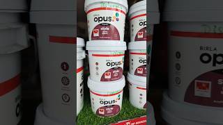 Birla Opus Acrylic Distemper paint shorts paintwalldecor [upl. by Goldarina949]