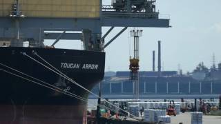 Gearbulk “TOUCAN ARROW” Nagoya Port [upl. by Irama]