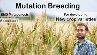 What is mutation breeding How EMS mutagenesis works to develop new plant varieties Mutation [upl. by Goldfinch]