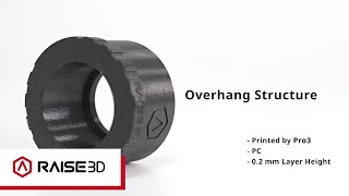 Raise3D Pro3 Series Print Result  Overhang Structure [upl. by Bortman]