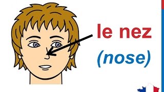 French Lesson 30  FACE BODY VOCABULARY  Le visage Parts of the head Partes del cuerpo en francés [upl. by Aroled]