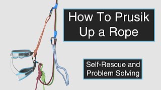 How To Prusik Up a Rope  Trad Climbing SelfRescue Skills [upl. by Robers]