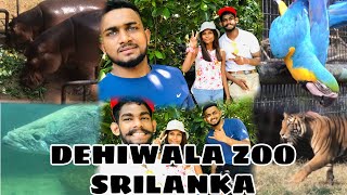 Dehiwala Zoo Sri Lanka දෙහිවල සත්වෝද්‍යානය 2024 youtube animals zoo dehiwalazoo foryou [upl. by Abrahan]