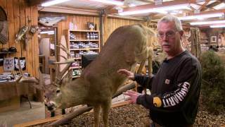 Hoosier Trapper Supply  Taxidermy Trophy Care [upl. by Wyatt370]