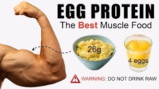 5 Reasons Eggs Are The Best Muscle Building Food 10 Scientific Studies [upl. by Annirac]