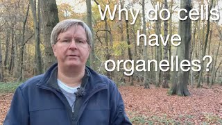 An introduction to cell organelles  why do cells have organelles [upl. by Neomah]