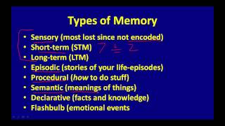 Types of Memory [upl. by Kamp]