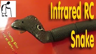 Infrared RC Snake TEAR DOWN [upl. by Ronnie30]