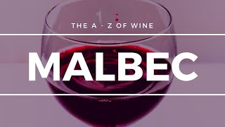 What is MALBEC  What you need to know about this popular grape [upl. by Nonnairb]