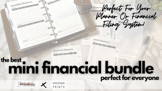 The BEST Financial Overview Planner Insert Mini Bundle  Functional Planning  Plan With Bee [upl. by Agnes]