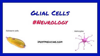 Glial Cells  Neurology [upl. by Ahron]