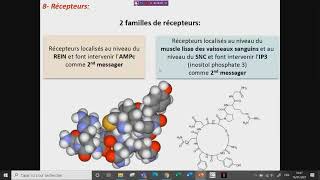 PHYSIOLOGIE ANIMALE LES SYSTÈMES HYPOTHALAMO POSTHYPOPHYSAIRES [upl. by Hoffarth624]