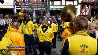 Boerenkapel De Zwiebels auf dem Weinfest in Bernkastel [upl. by Ymerej398]