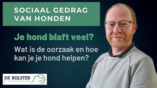 Je hond blaft te veel [upl. by Ecinahs]