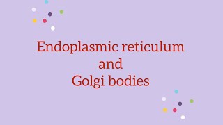 Endoplasmic reticulum and Golgi bodies neetbiology [upl. by Leopoldeen]